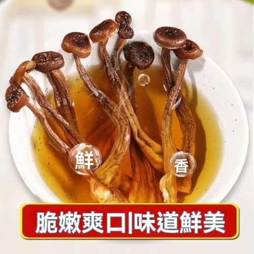 特級鹿茸菇